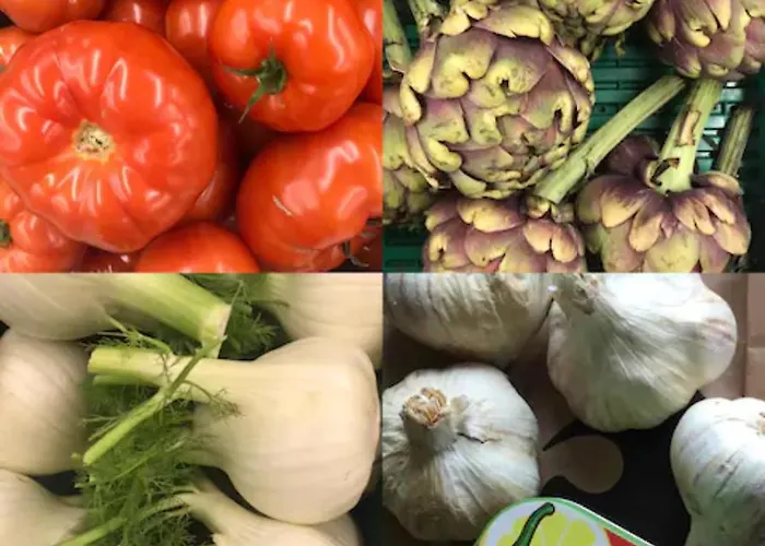 Casa Del Mar - Beautiful Two Bedroom Penthouse